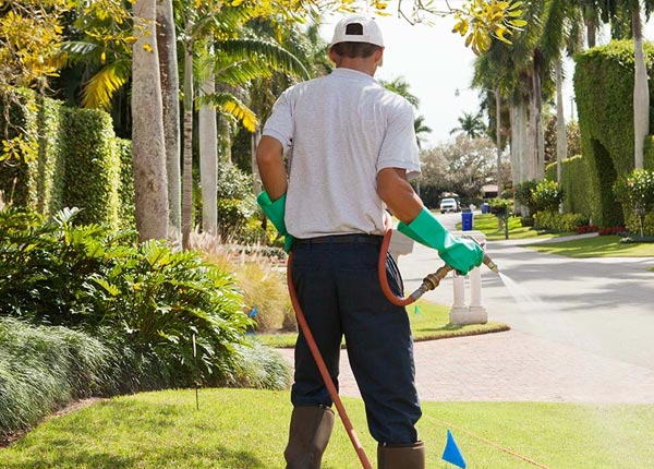 About Oxford CT Pest Control Pros